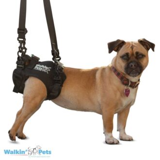 rear support dog harness