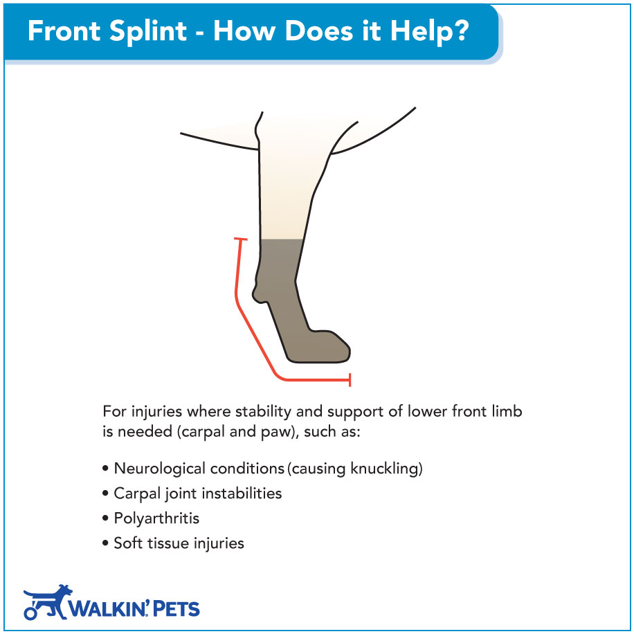 Walkin Front Splint How Does it Help