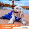 dog mobility bag with caption "happy, healthy pets & parents"
