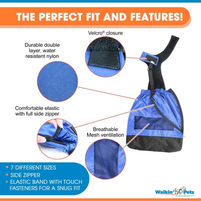 the different features of the Walkin' Drag Bag