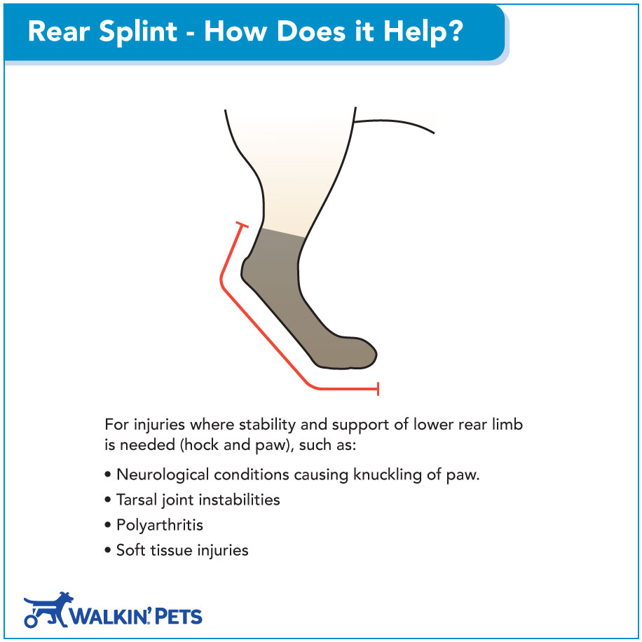 Walkin Rear Splint How Does it Help