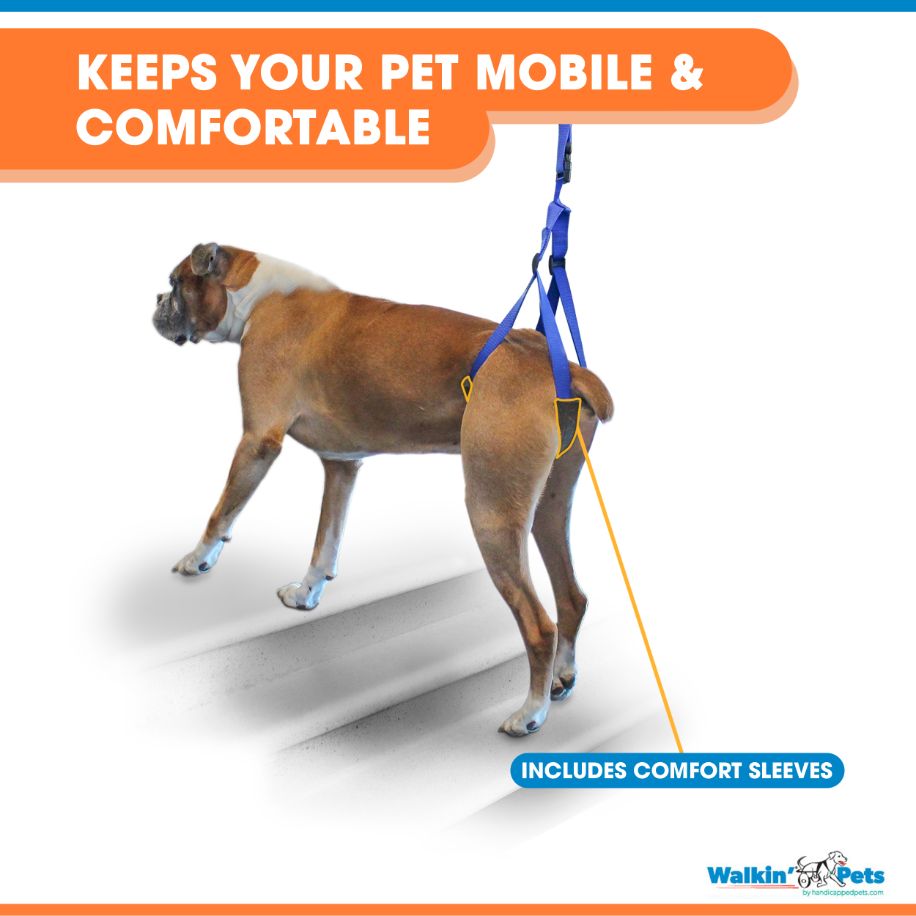 leash "keeps your pet mobile & comfortable" and "includes comfort sleeves"