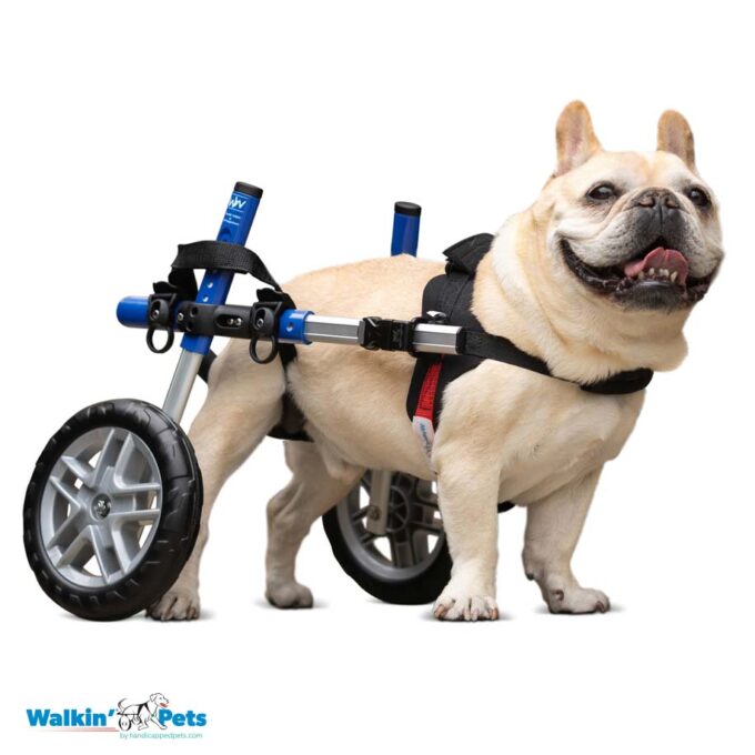 Walkin' Wheels SMALL Dog Wheelchair