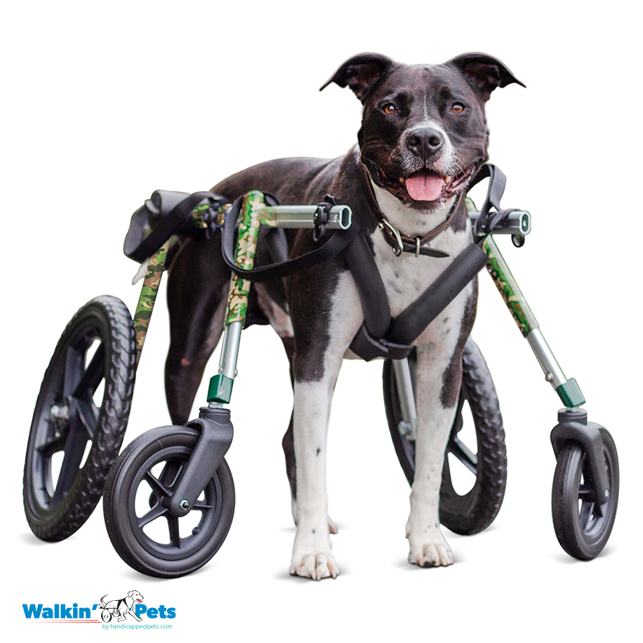 Walkin’ Wheels Full Support/4-Wheel MED/LARGE