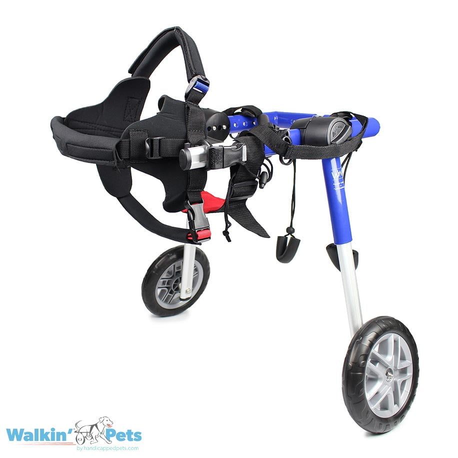 Medium Rear Wheelchair