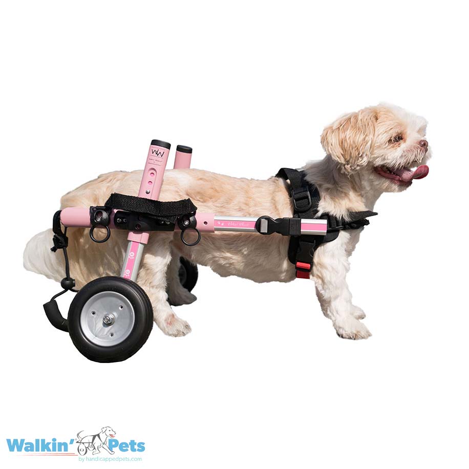 Walkin' Wheels SMALL Dog Wheelchair
