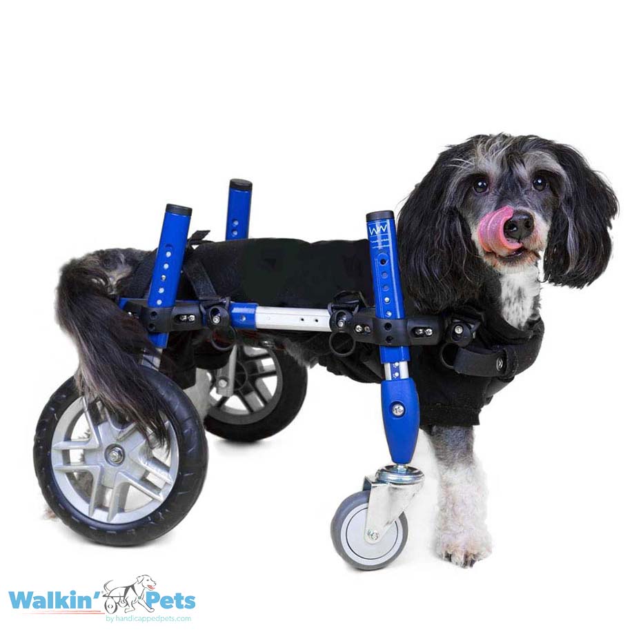 Walkin' Wheels Full Support/4-Wheel SMALL