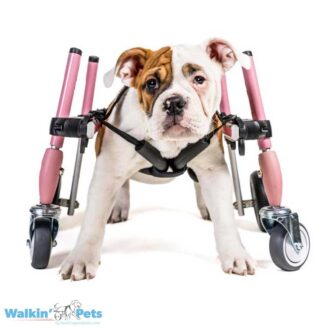 Small Front Attachment Dog Wheelchair