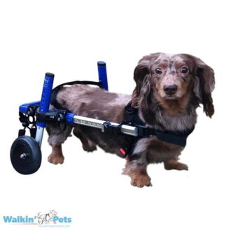 Walkin’ Wheels DACHSHUND Wheelchair