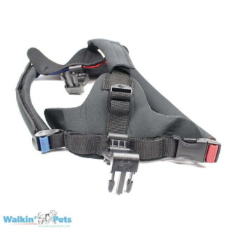 Front Harness 2