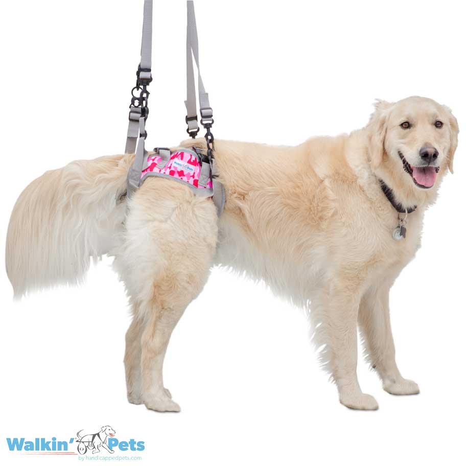 Walkin Warrior Harness Dog Pink
