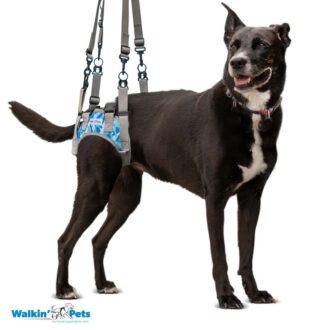 rear lifting dog harness