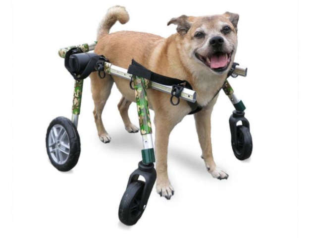 full support dog wheelchair