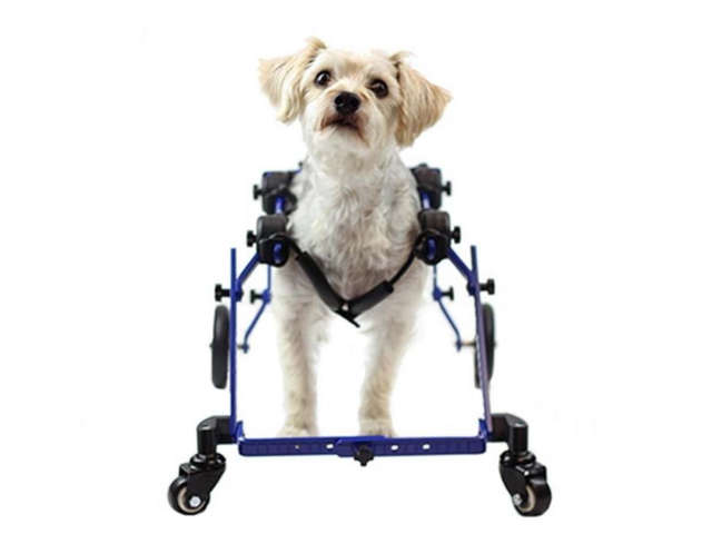 mini full support dog wheelchair